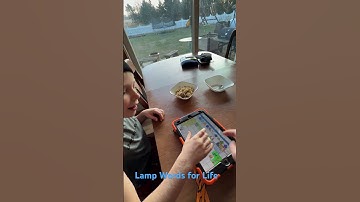 LAMP Words for Life - I’m wearing a hat! Augmented communication #augmentativecommunication #augcomm