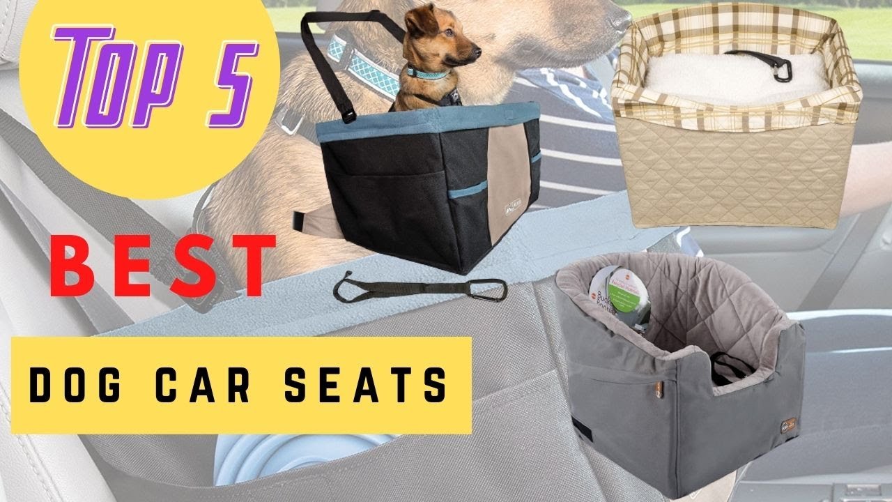 Top 5 Best Dog Car Seats Review 2020 YouTube