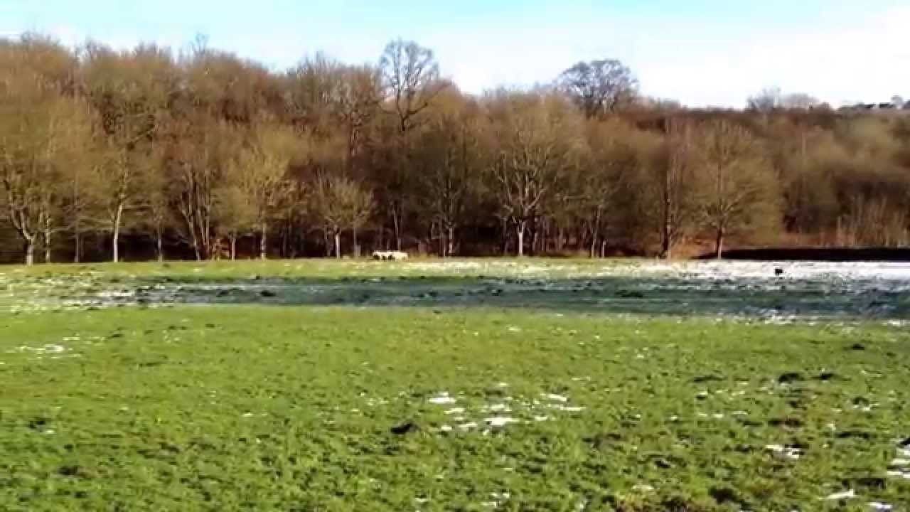 Stuart Wilkinson Jake