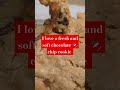 FRESHLY BAKED CHOCOLATE CHIP COOKIE #sahm #food #dessert #chocolatechipcookies #chocolatelover
