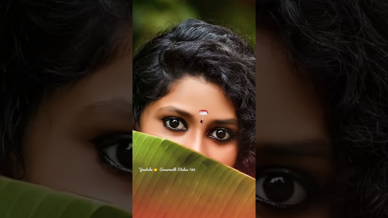 Khiladi Title Track 🥀❤ // Vineet Sing , Yashraj Kapil !! Amarnath Status 786 || 