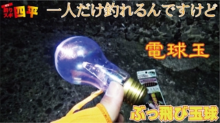 電球玉で堤防から俺だけ釣れた(134話目)