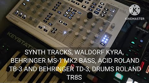 WALDORF KYRA, ROLAND TR8S AN TB3, BEHRINGER MS-1 MKII AN TD3. SONG DEMO REVIEW. MIKE BYRD - BONE AGE