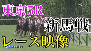 6/17 東京5R 新馬戦 レース映像