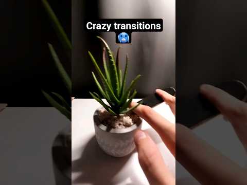 goofy transitions #fingerboard