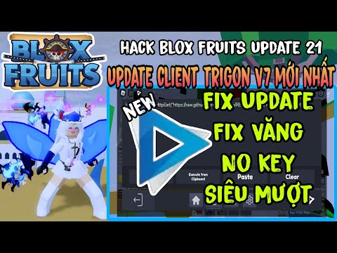 Cách Hack Blox Fruits Trên Điện Thoại Update 21 Client TriGon V7 Mới Nhất Fix Lỗi Update Siêu Mượt