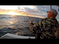 Mejor SEÑUELO para pesca en el PACIFICO / Pesca con Wearever y el equipo de @jygprofishing