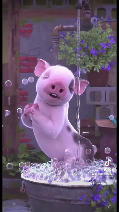 Sexy pig dance #pet#petdance #귀여운 #shorts #shirtvideo