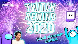 Twitch Rewind 2020 | Small Streamer Edition