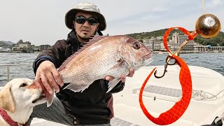 Unveiling the Legendary Rig: 200-Year-Old Technique for Japanese Red Snapper Fishing!