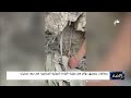 مطالبات بتحقيق دولي في مجزرة الإبادة الحوثية الجماعية في حرف سفيان مطالبات بتحقيق دولي في مجزرة الإبادة الحوثية الجماعية في حرف سفيان