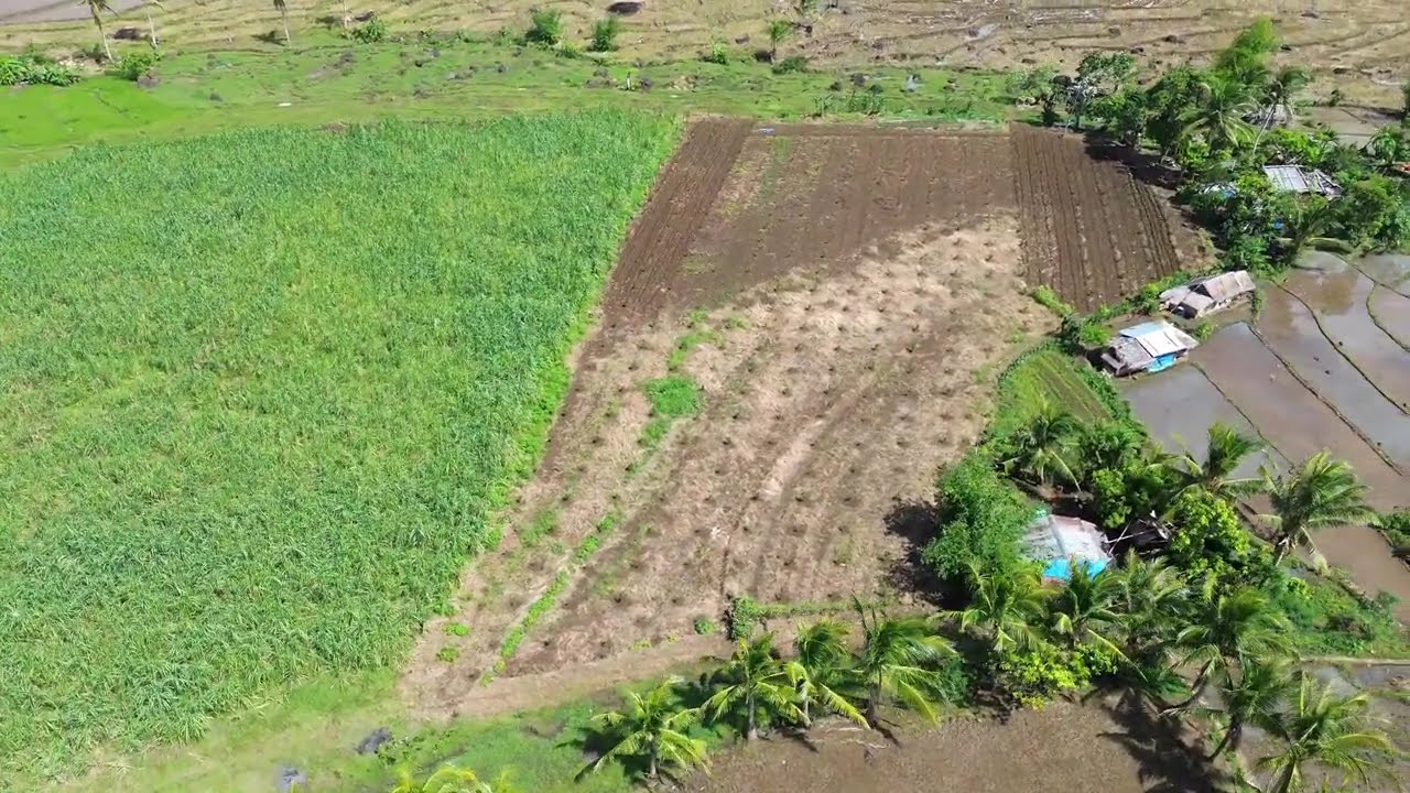 Моё последнее видео с полётом на DJI Mini 3 в сельской местности. 