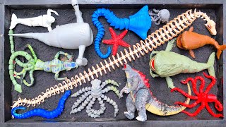 DEEP SEA MONSTER: Bloop, EL Gran Maja, Kraken, SCP-3000, Godzilla, Sea Eater, Skeleton, Ningen Eps02