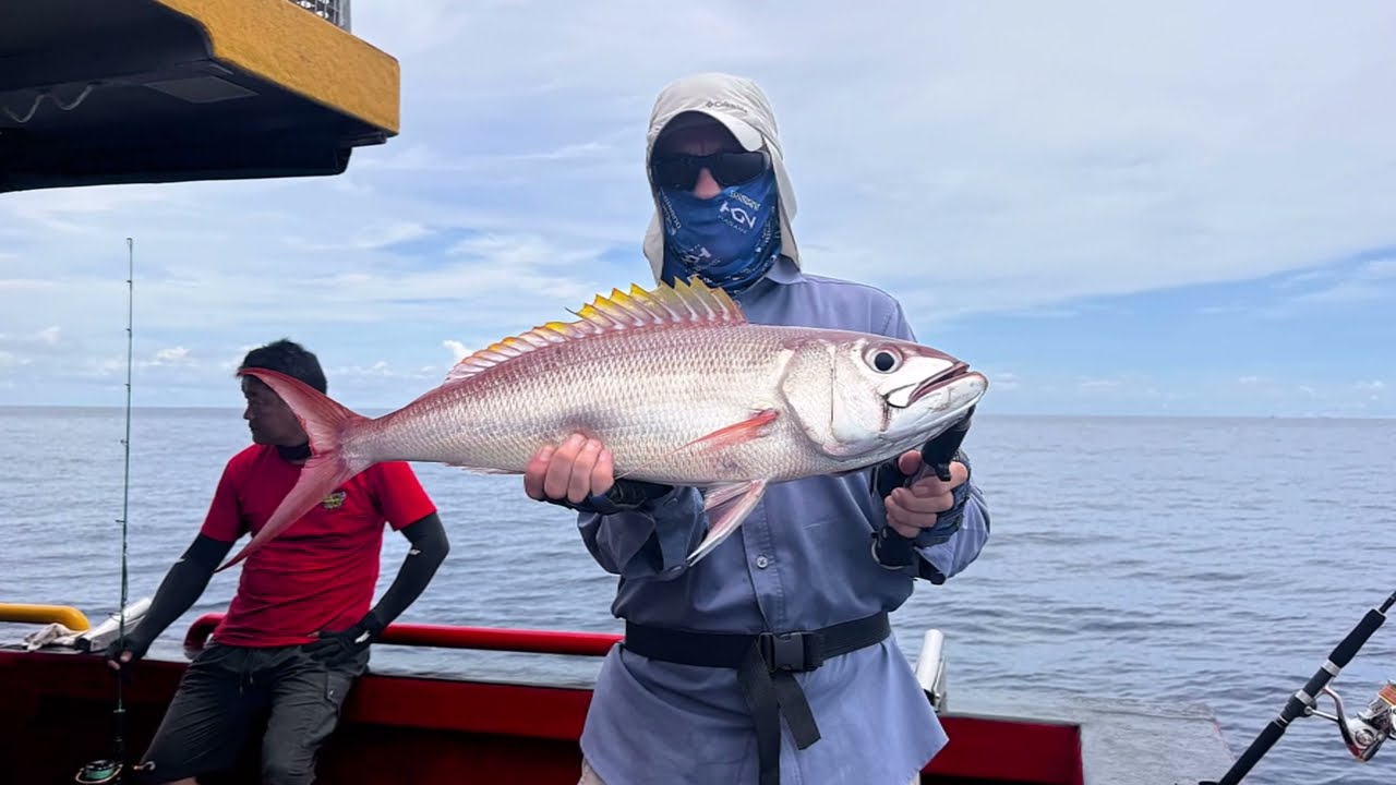 Rusty Jobfish - Banda Aceh, Sumatra, Indonesia (22.04.25)