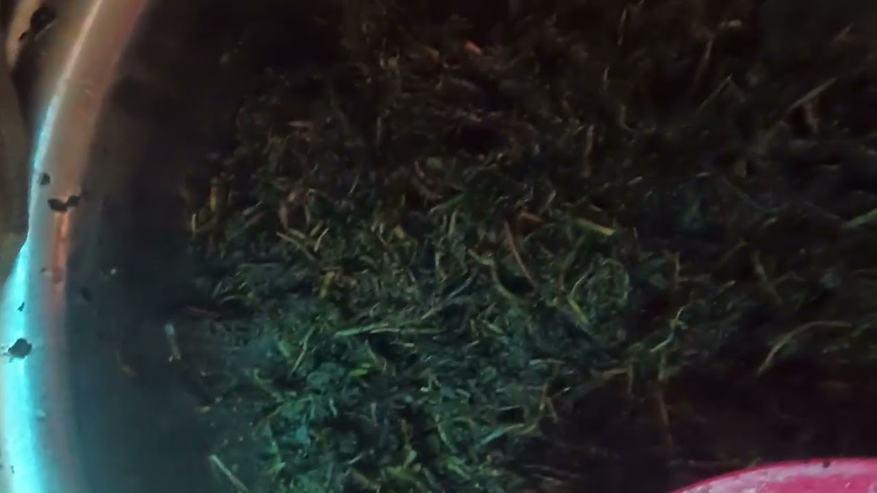 I sell original honey