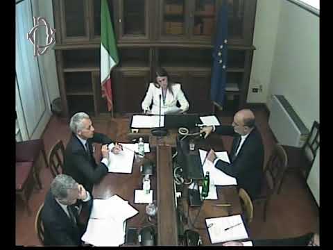 July 29, 2026 - D'Ascenzo Hearing