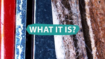 The strangest images of ordinary things | MACRO quiz