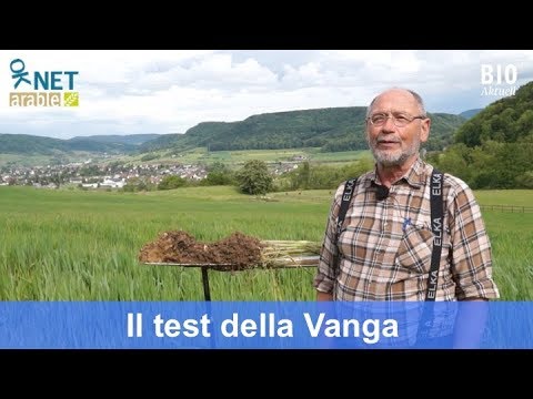 Video: Test del suolo: cosa mostra un test del suolo