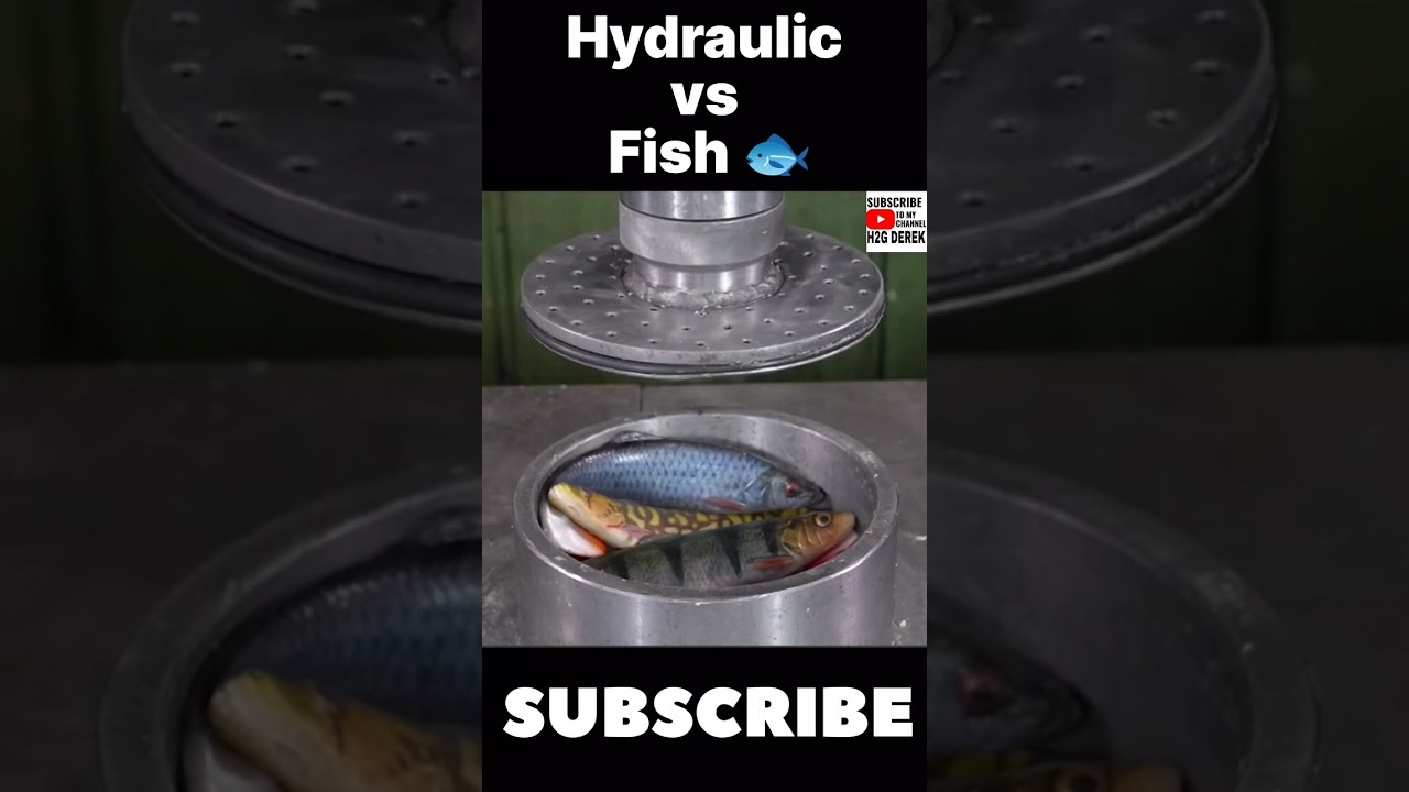 Hydraulic Machine vs Fish & Candle | So Satisfying | 