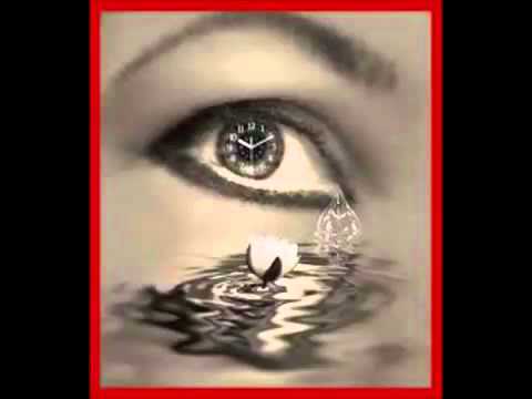 شكرى ريكانى هه ره خاين