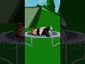 Bacon Hair and Frozen Trampoline