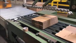 TCY Flexo Folder Gluer