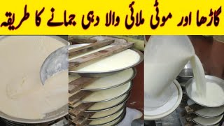 How to Make Yogurt | Commercial Process to Make Thick and Sweet Yogurt | Dahi Jamane ka Asaan Tarika