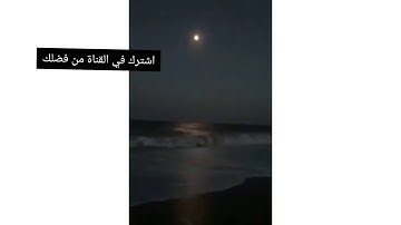 تلاوة خيالية لا توصف ستأخذك إلي عالم آخر عالم الهدوء والسكينة