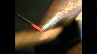 La Volute The Scroll 鍛鉄