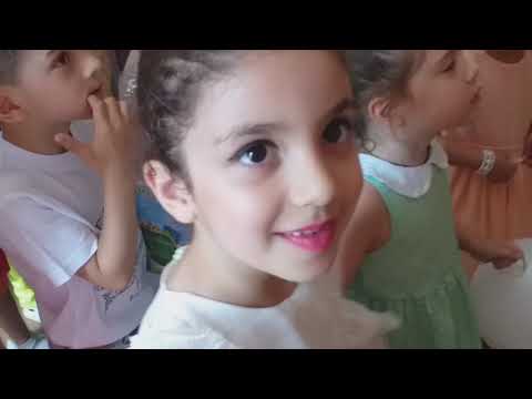 28-ე ბაგა ბაღი (სიურპრიზი)