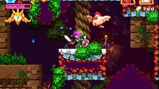 Legend of Princess - Infinite Chicken trick