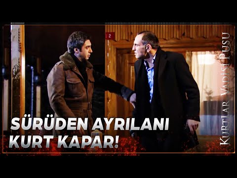 Polat Alemdar ile Memati Karşı Karşıya! | Kurtlar Vadisi Pusu