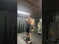 Bicep curls with resistance bands using Harambe System.