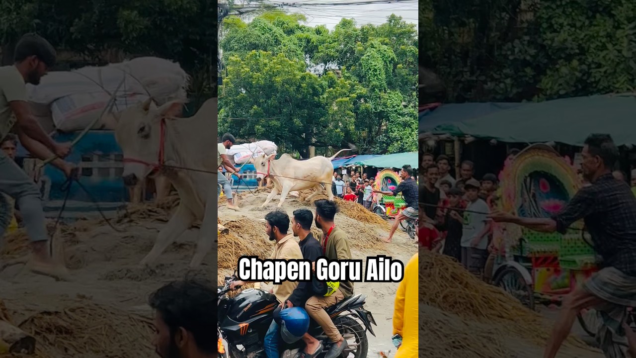 Pagla Deshal || Hazaribagh 2025