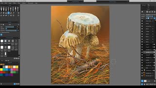 Rebelle 4 Oils - Mushrooms