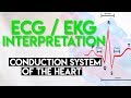 Electrical conduction system of the heart  ecg ekg interpretation part 1