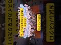 お試しパスクロ🍉君のスイカになりたい! #パスクロ #君のスイカになりたい