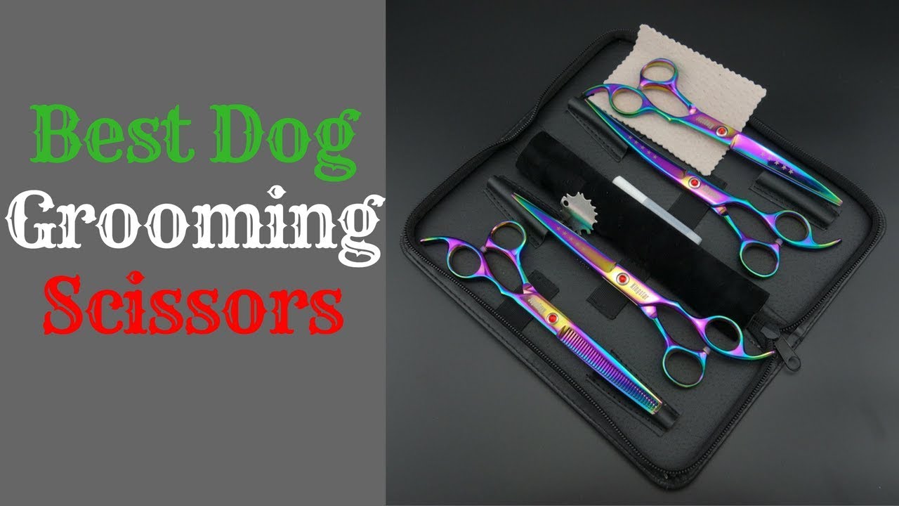 Best Dog Grooming Scissors 2019 YouTube