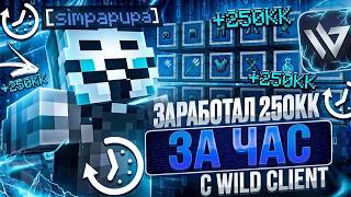 ЗАРАБОТАЛ 250КК ЗА ЧАС ИГРЫ НА FUNTIME С ЛУЧШИМ ЧИТОМ WILD CLIENT 1.21.8 МАЙНКРАФТ ФАНТАЙМ