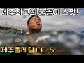 🇰🇷혹서기 올레길걷기의 한줄기 빛 I 제주올레길 7~8코스 I