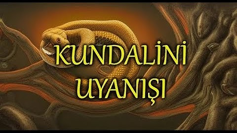 Kundali Uyanışı Nedir  Kundalini Uyanışı Belirtileri ve Riskleri