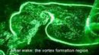 Vortex shedding from a circular cylinder