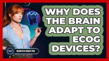 Why Does The Brain Adapt To ECoG Devices? - Neurotech Insight Pro