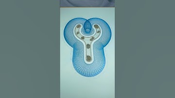 Watch until the end to see this unique form – the result is mesmerizing! #spirographshr #asmr #usa