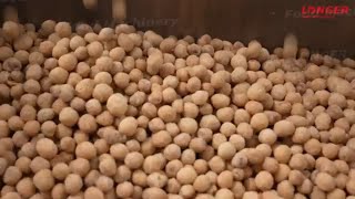 Coated Peanut Frying Production Line/ Peanut Coating Machine/Peanut Fryer