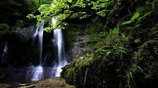 Cascade de l'Audeux