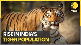 Tiger population rising at 5% annually | Latest World News | WION