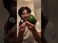 Can someone pls identify this species thanks - Fun Finds #avocado