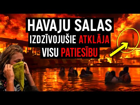 Video: Ko darīt Havaju salās