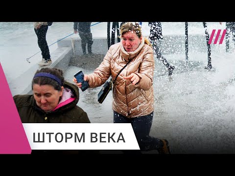 Разрушены дороги, смыты дома, люди и животные погибли: шторм накрыл Черное море